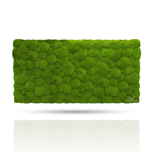 Frameless Pillow Moss Wall Panels Rectangle green DecorMania UK