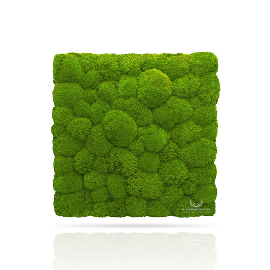 Frameless Pillow Moss Wall Panels Square light green swatch on white background DecorMania UK