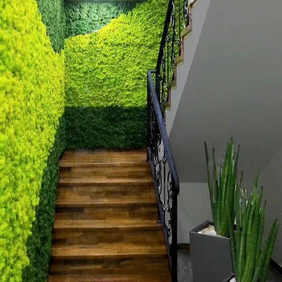 Loose moss decor in boxes