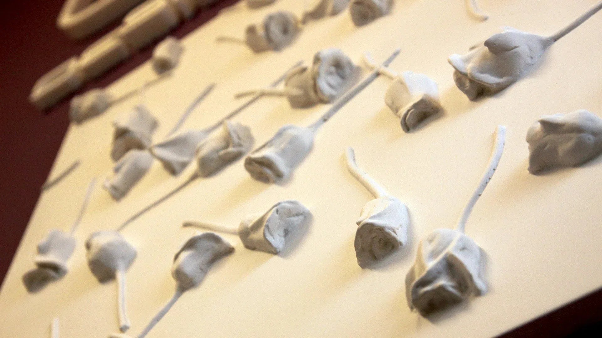 3D Gypsum Wall Panels - ROSE GARDEN - 3D Wall Panel Roses – Close-up of a gypsum panel with an artistic floral relief featuring scattered rosebuds | DecorMania UM