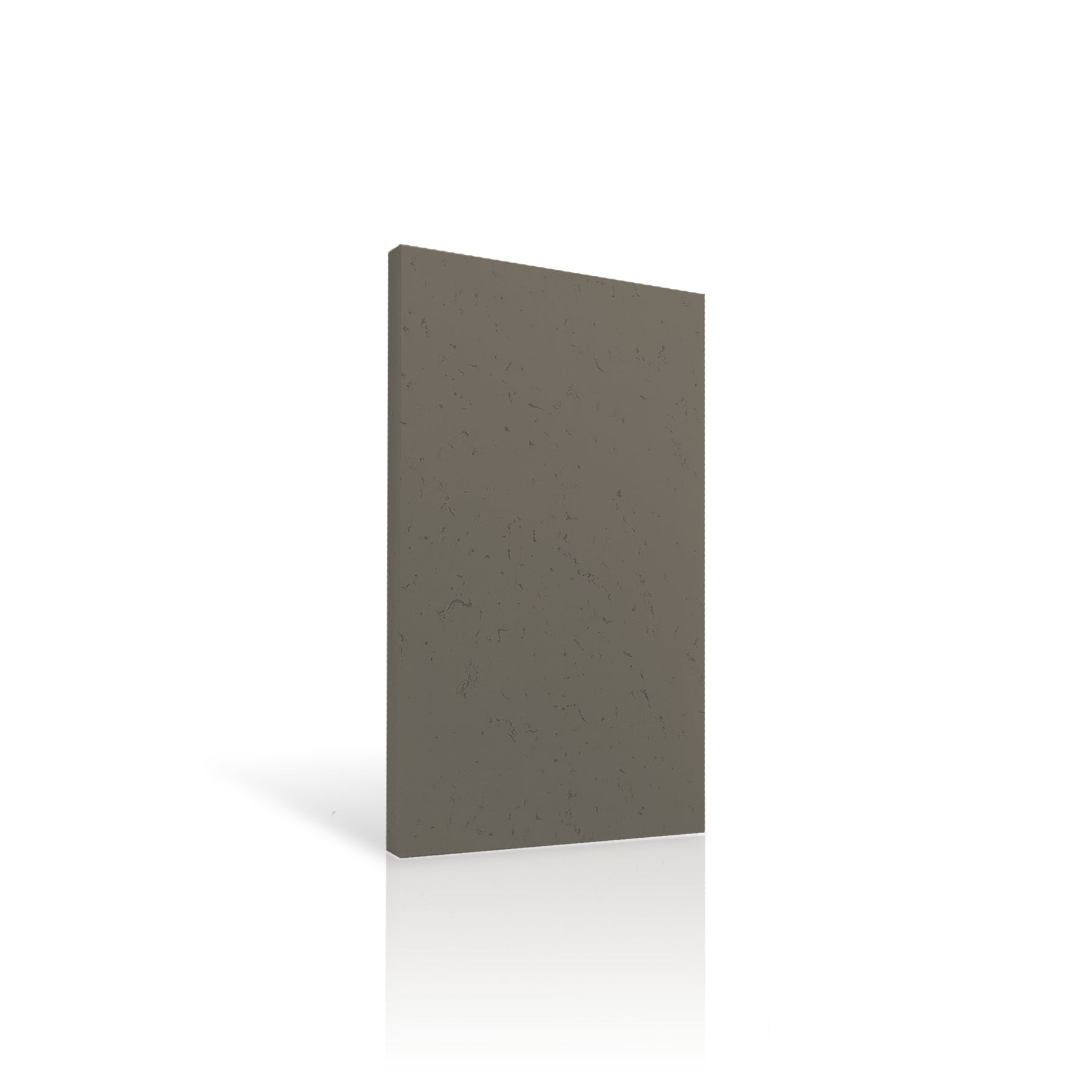 Concrete Wall Panel EXTERIOR colour swatch ON WHITE BACKGROUND DecorMania UK