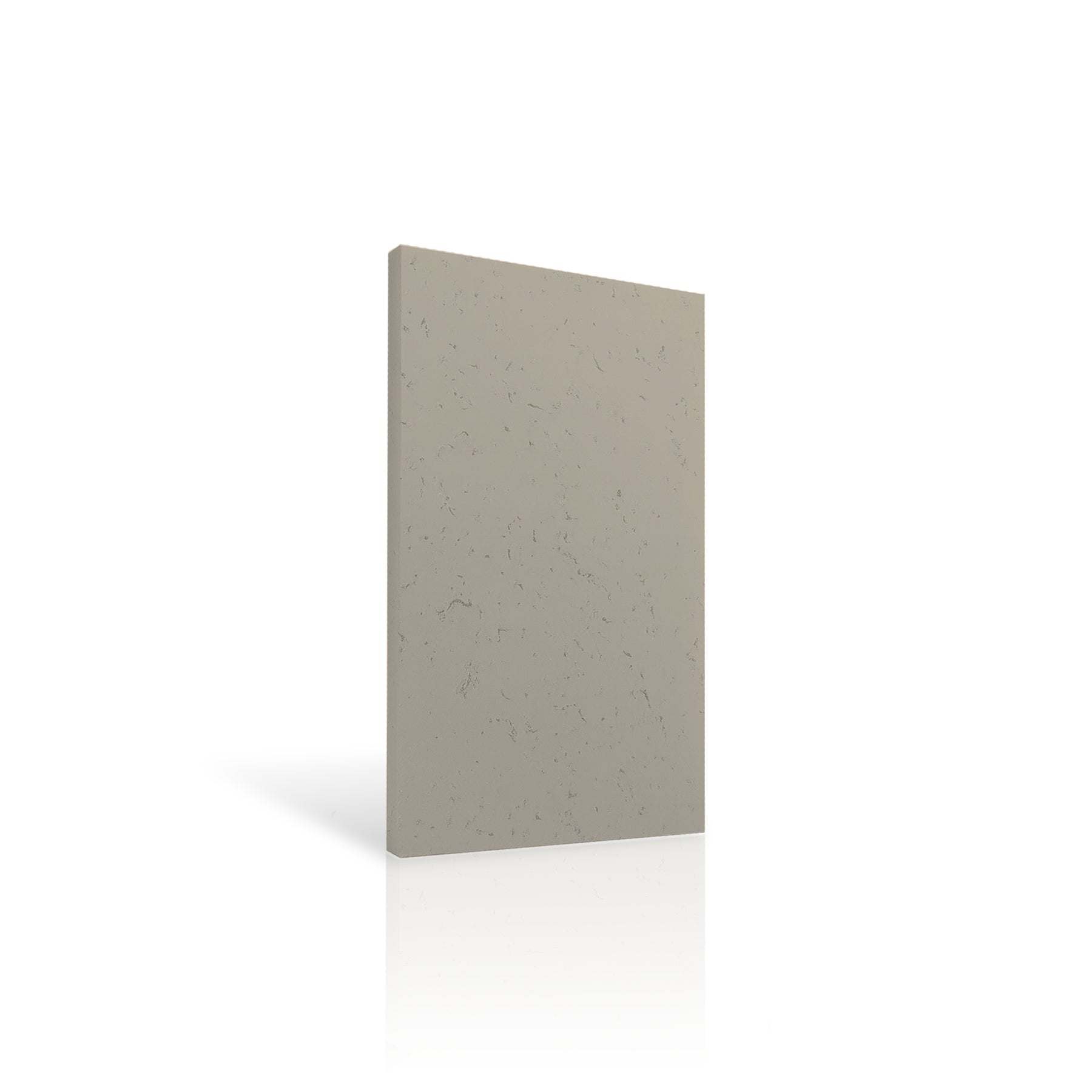 Concrete Wall Panel EXTERIOR colour swatch ON WHITE BACKGROUND DecorMania UK