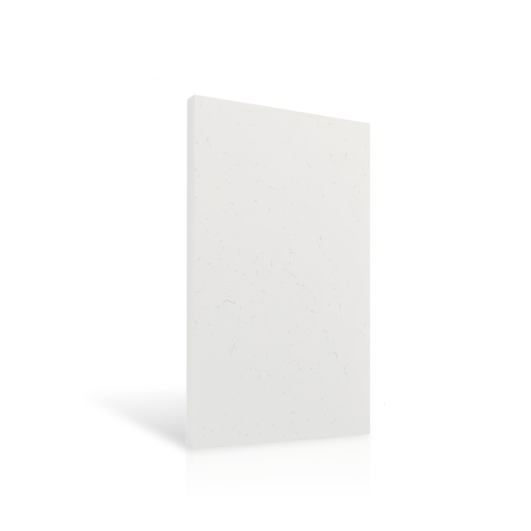 Concrete Wall Panel EXTERIOR 120x60cm colour swatch on white background DecorMania UK