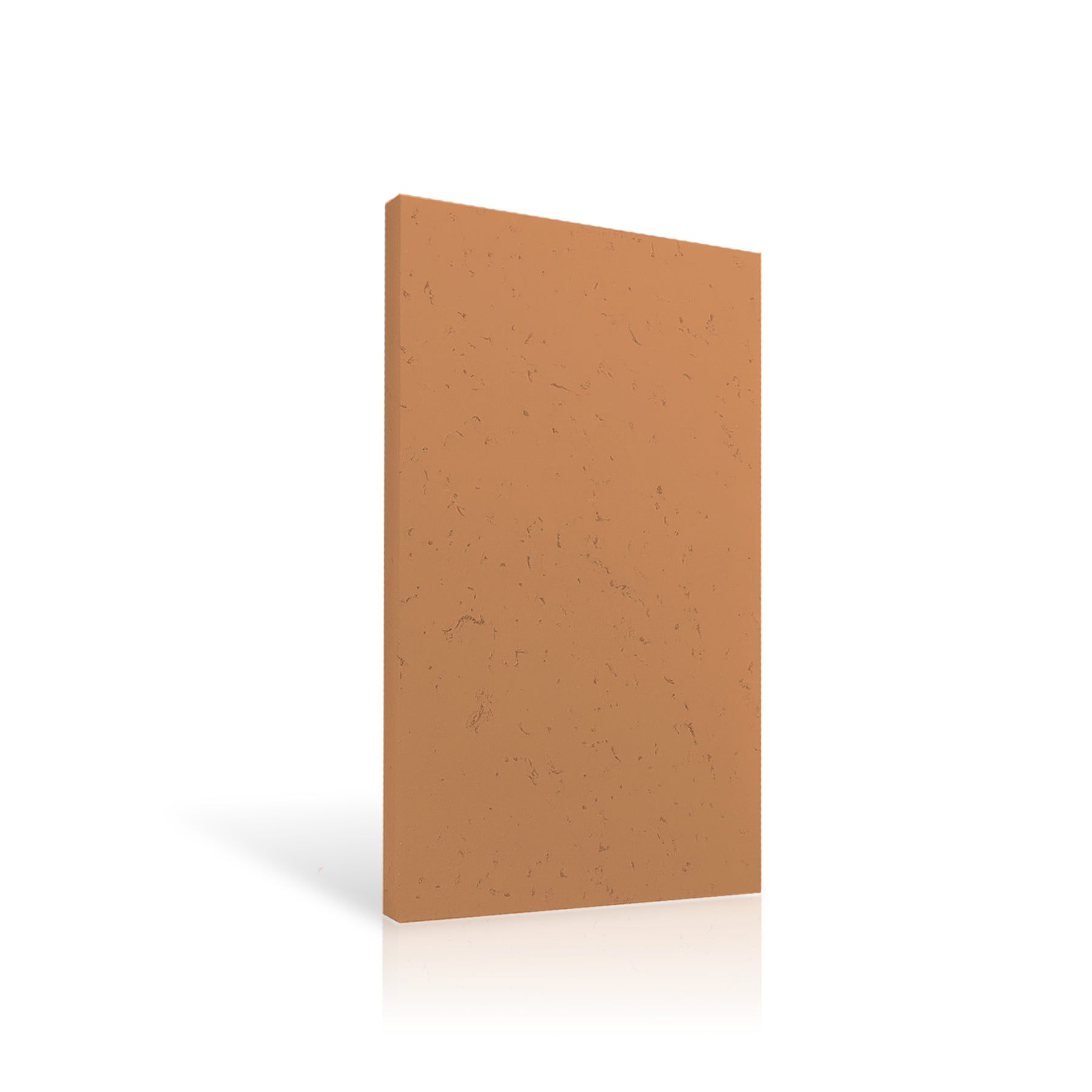 Concrete Wall Panel EXTERIOR 120x60cm colour swatch on white background DecorMania UK