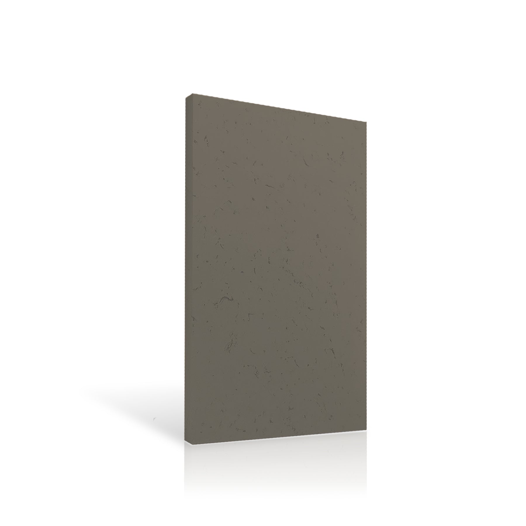 Concrete Wall Panel EXTERIOR 120x60cm colour swatch on white background DecorMania UK