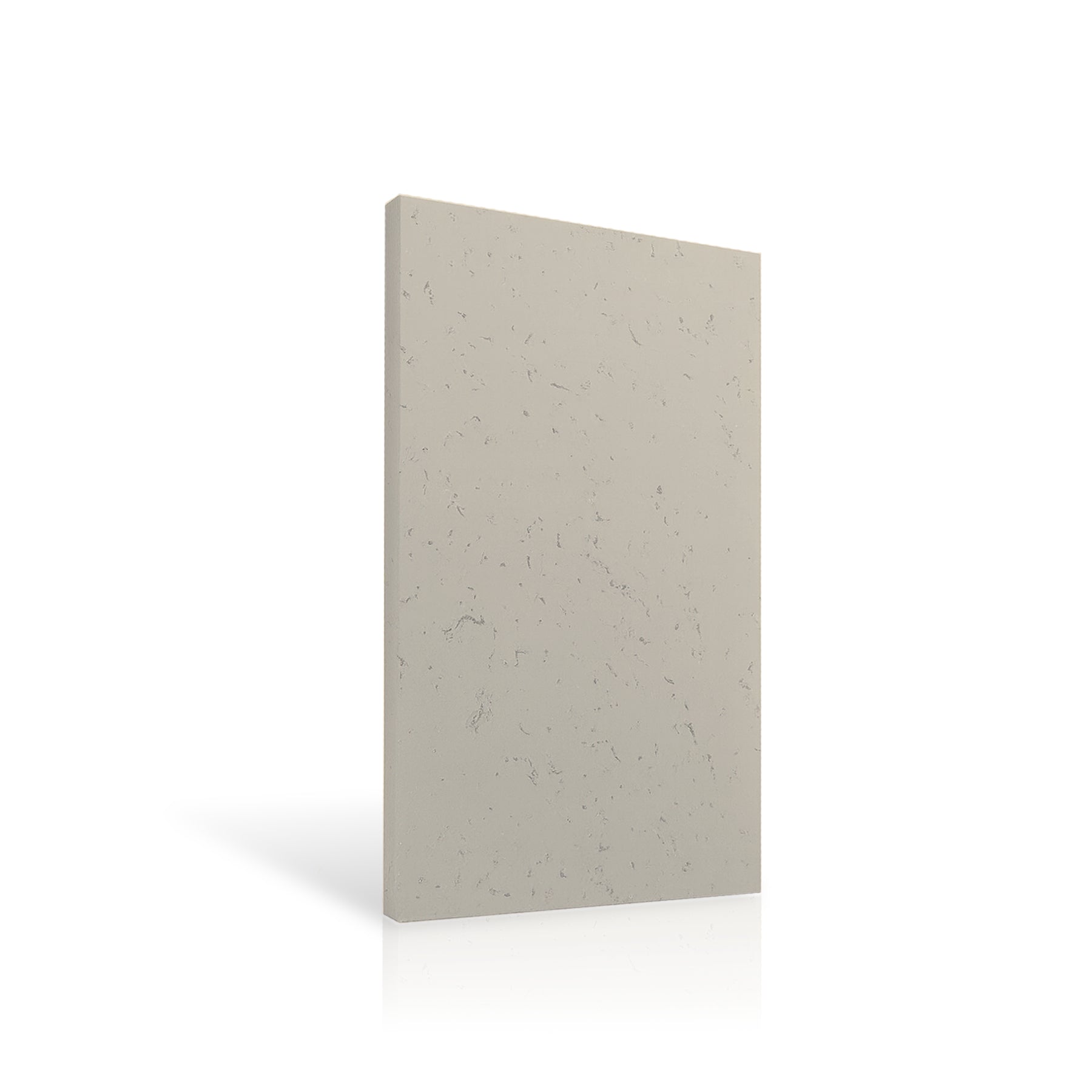 Concrete Wall Panel EXTERIOR 120x60cm colour swatch on white background DecorMania UK