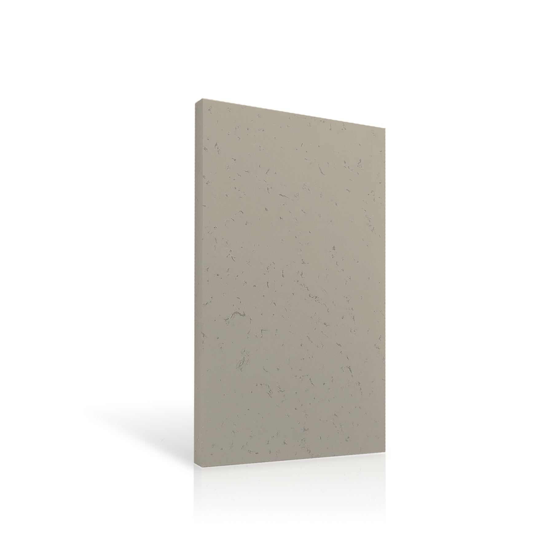 Concrete Wall Panel EXTERIOR 120x60cm colour swatch on white background DecorMania UK