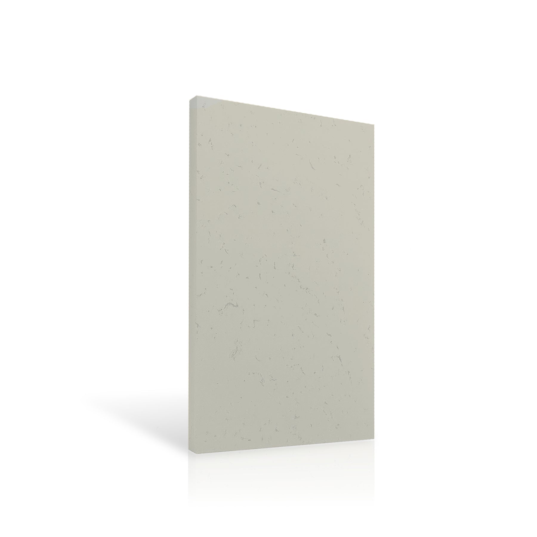 Concrete Wall Panel EXTERIOR 120x60cm colour swatch on white background DecorMania UK