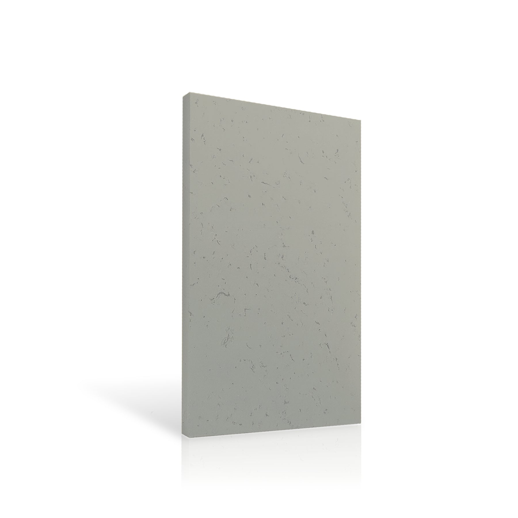 Concrete Wall Panel EXTERIOR 120x60cm colour swatch on white background DecorMania UK