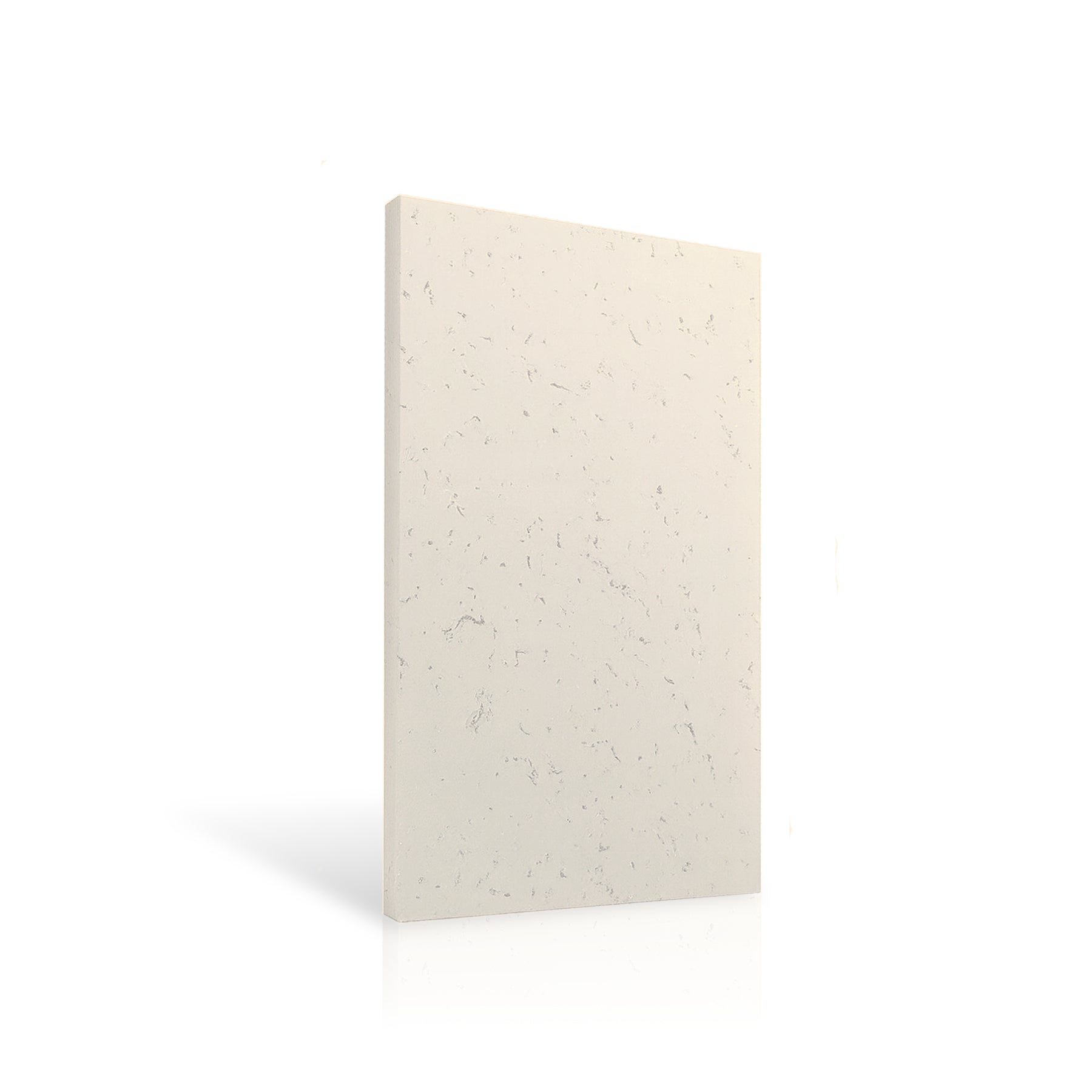 Concrete Wall Panel EXTERIOR 120x60cm colour swatch on white background DecorMania UK