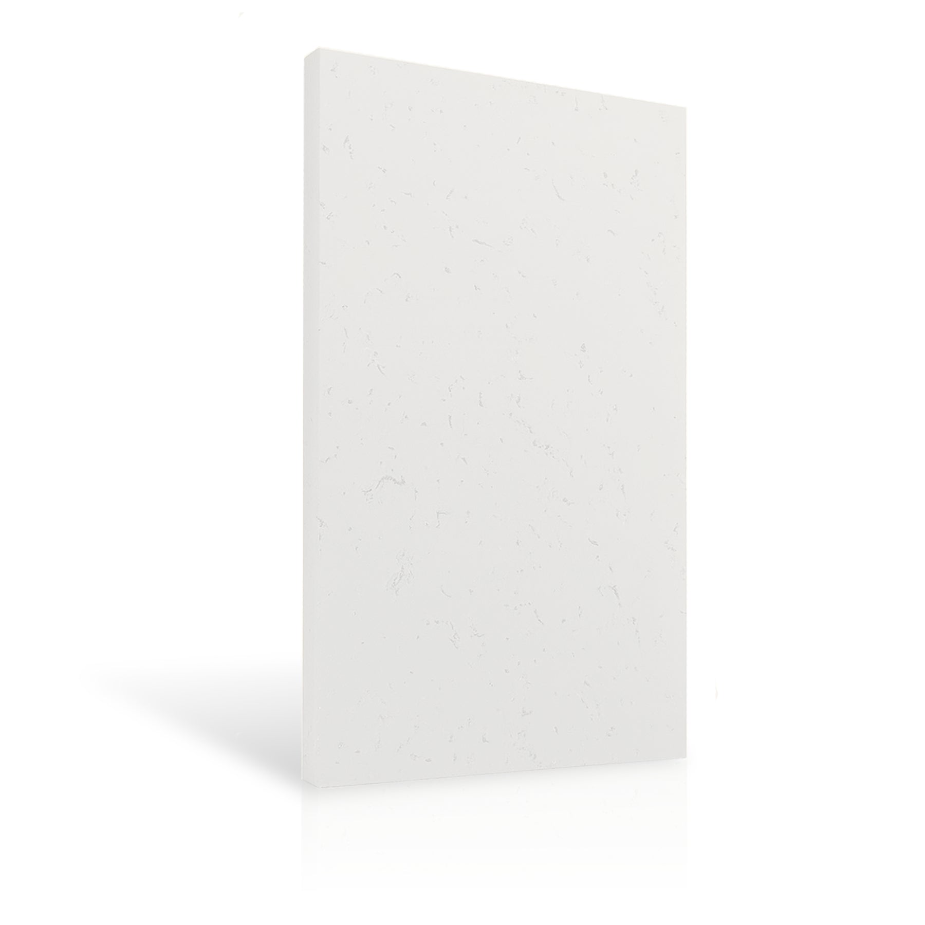 Concrete Wall Panel EXTERIOR 150x75cm colour swatch on white background DecorMania UK