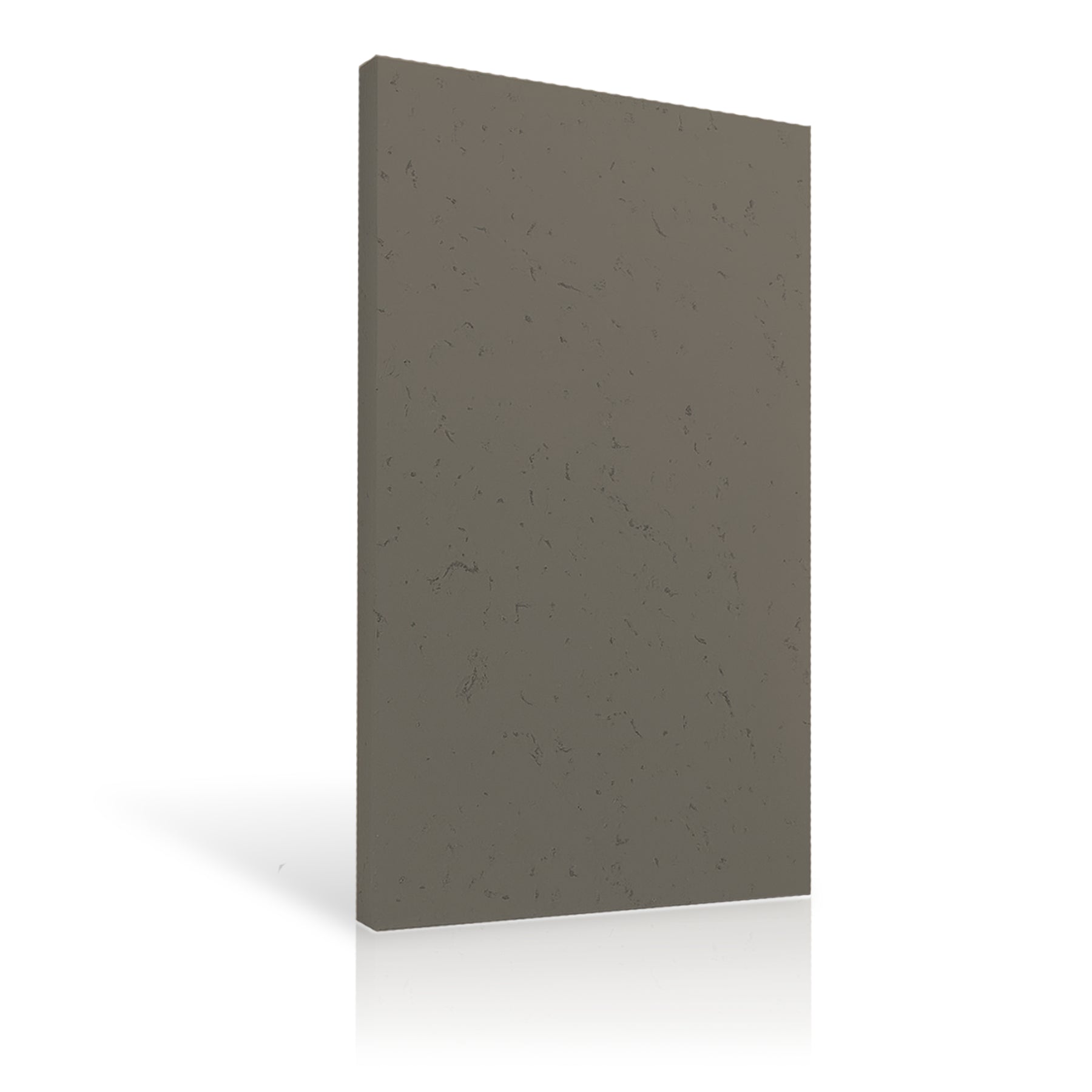 Concrete Wall Panel EXTERIOR 150x75cm colour swatch on white background DecorMania UK