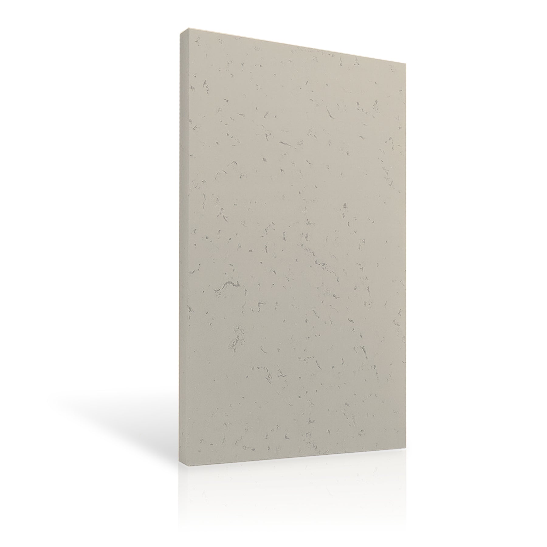 Concrete Wall Panel EXTERIOR 150x75cm colour swatch on white background DecorMania UK