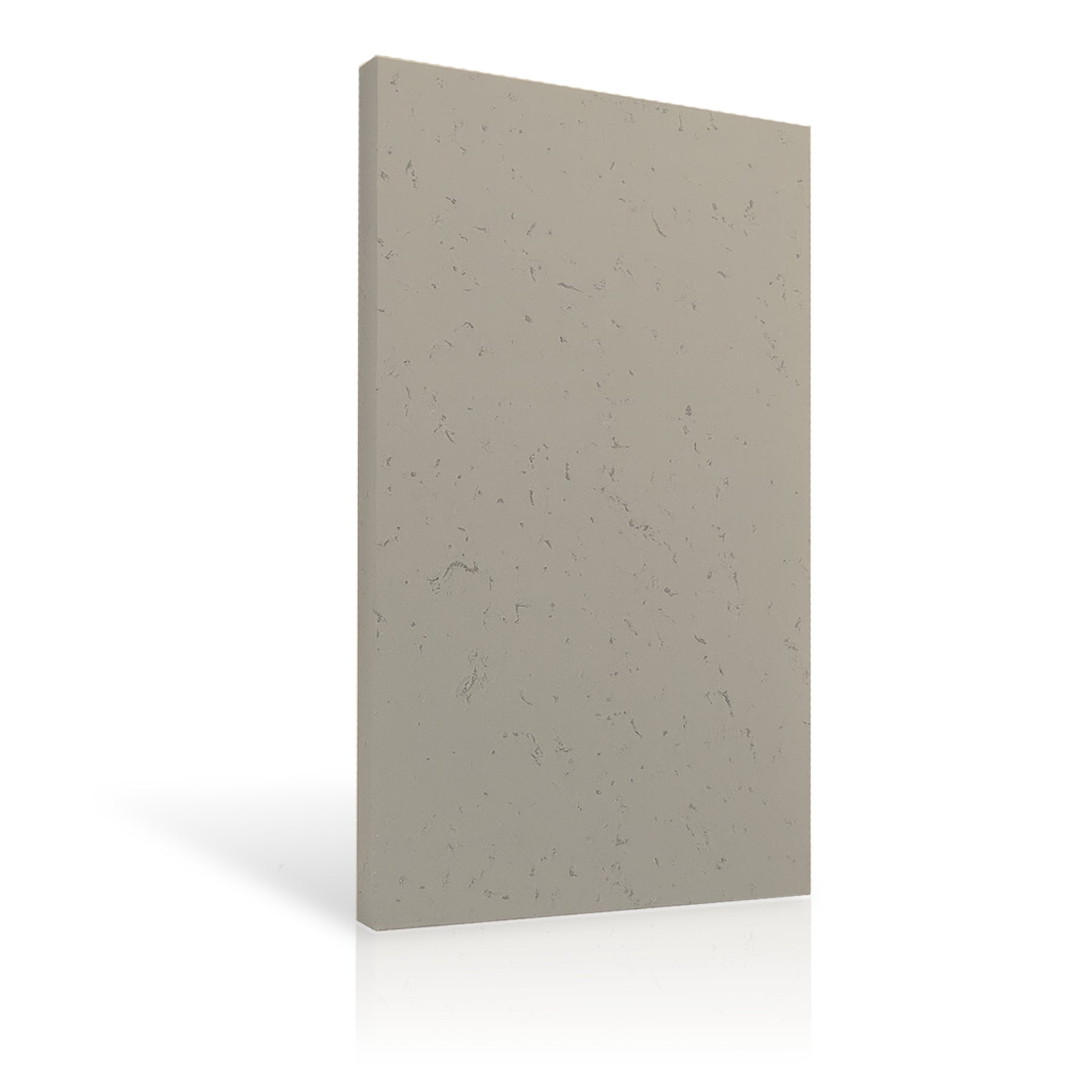 Concrete Wall Panel EXTERIOR 150x75cm colour swatch on white background DecorMania UK