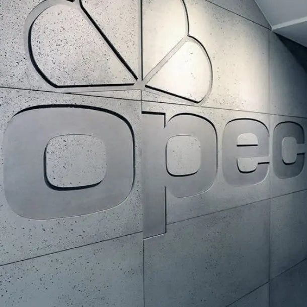 Concrete Wall Panels EXTERIOR - 60 x 60 cm  are used for durable facades and stylish interior designs  | DecorMania UK