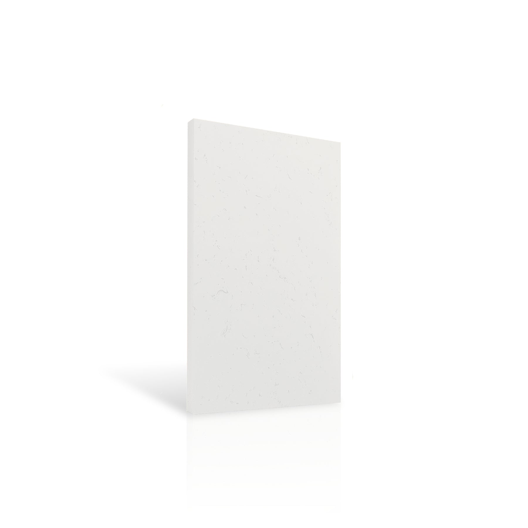 Concrete Wall Panel INTERIOR 100 x 50cm colour swatch on white background DecorMania UK