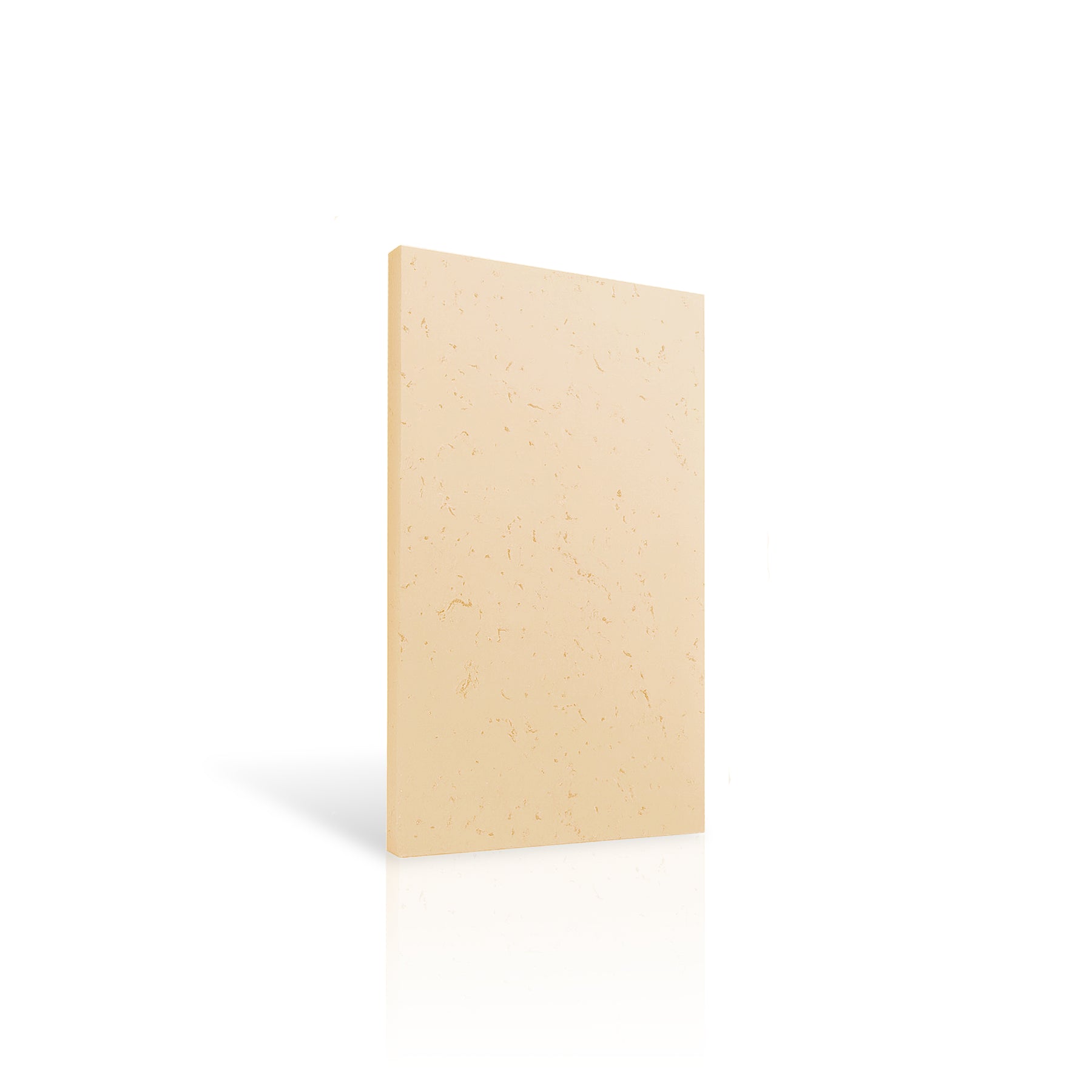 Concrete Wall Panel INTERIOR 100 x 50cm colour swatch on white background DecorMania UK