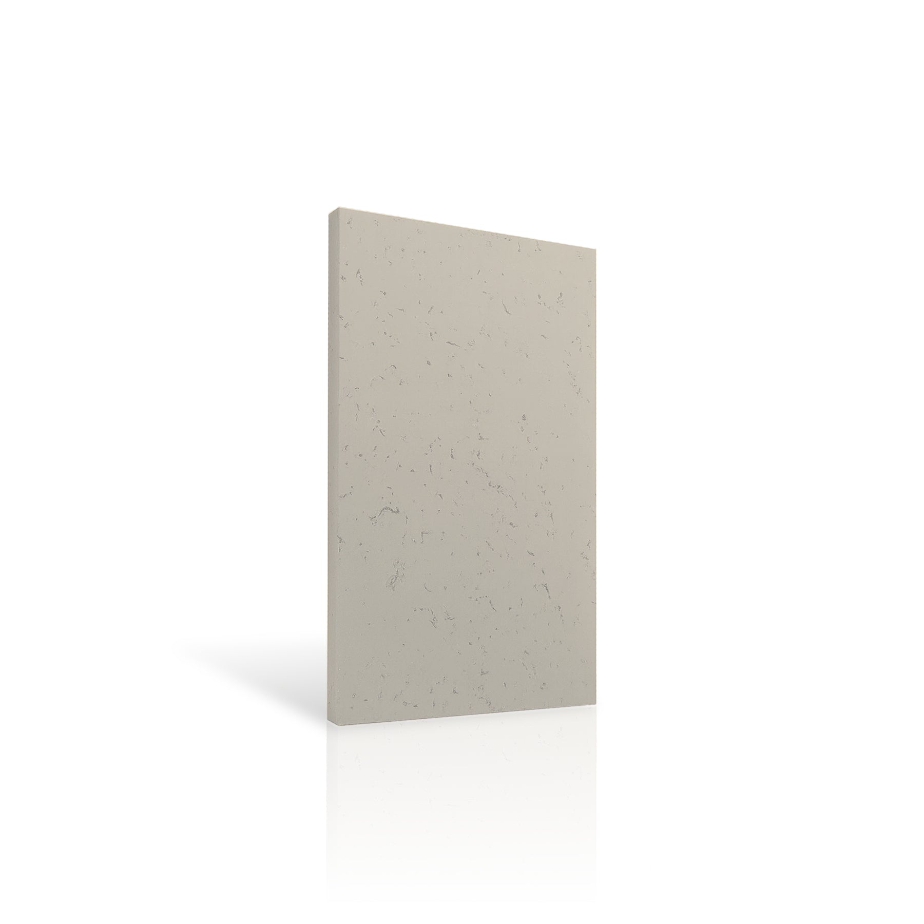 Concrete Wall Panel INTERIOR 100 x 50cm colour swatch on white background DecorMania UK