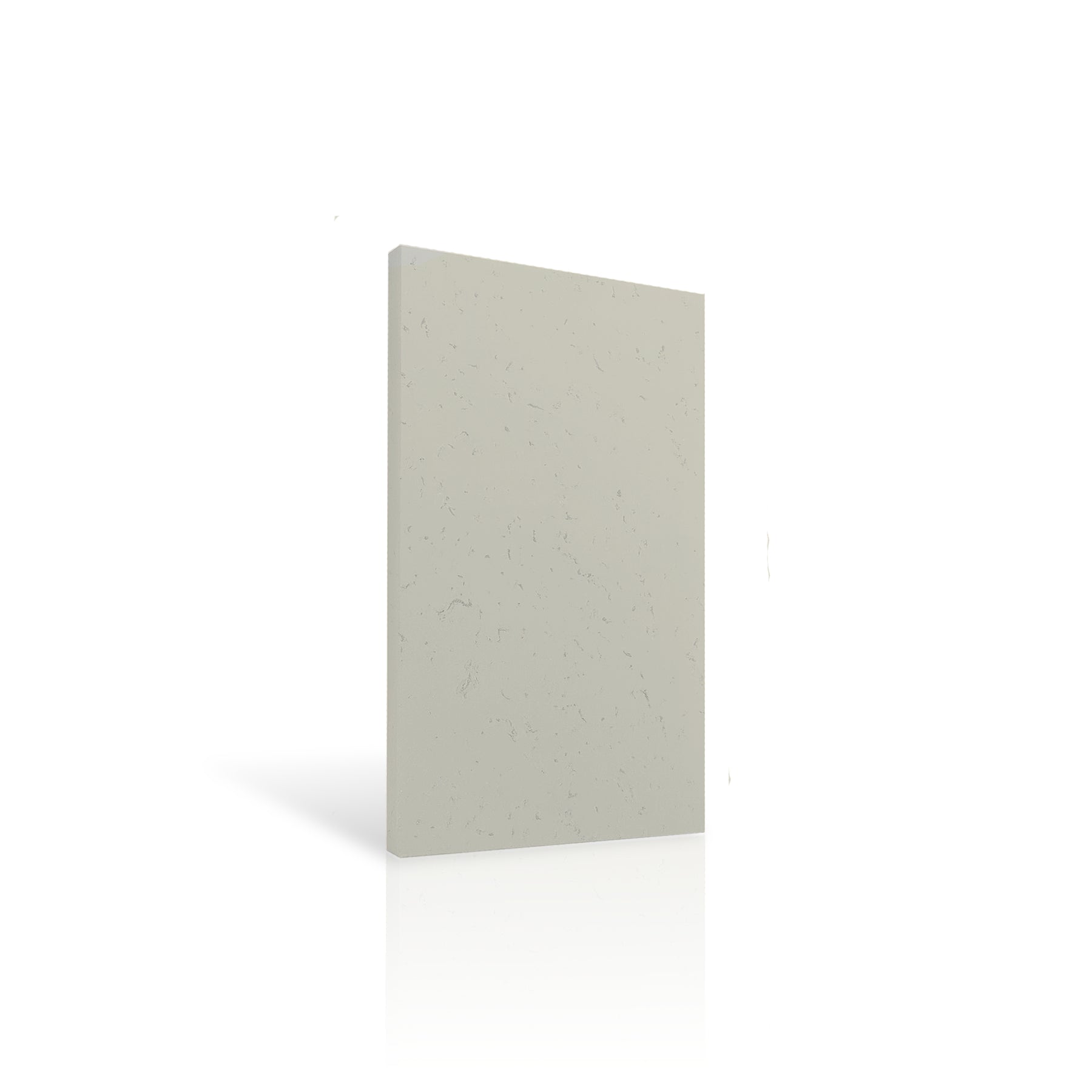 Concrete Wall Panel INTERIOR 100 x 50cm colour swatch on white background DecorMania UK