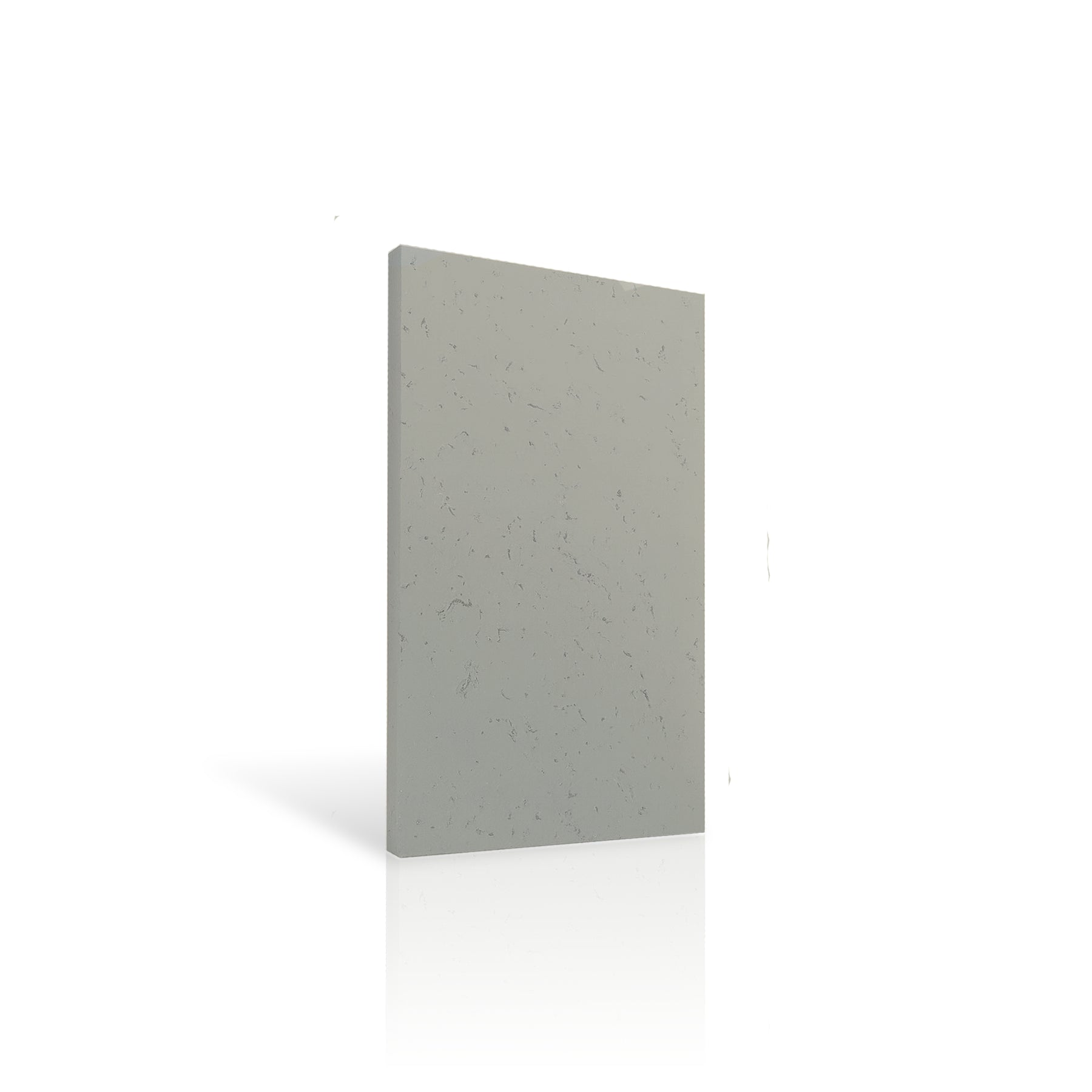 Concrete Wall Panel INTERIOR 100 x 50cm colour swatch on white background DecorMania UK