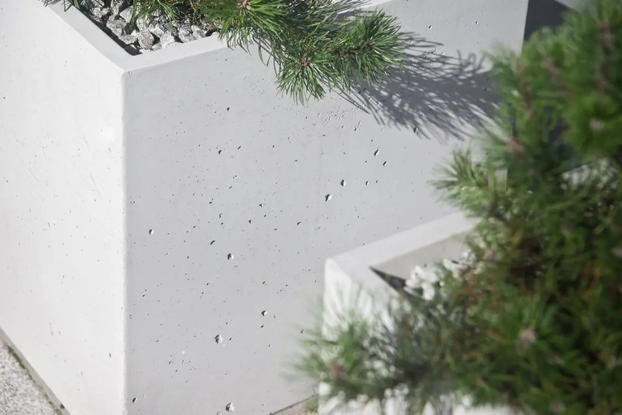 Close-up of a concrete planter surface with greenery around