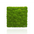 Decorative Pillow Preserved Moss Wall Decor green DecorMania UK