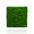 Decorative Pillow Preserved Moss Wall  green Decor DecorMania UK