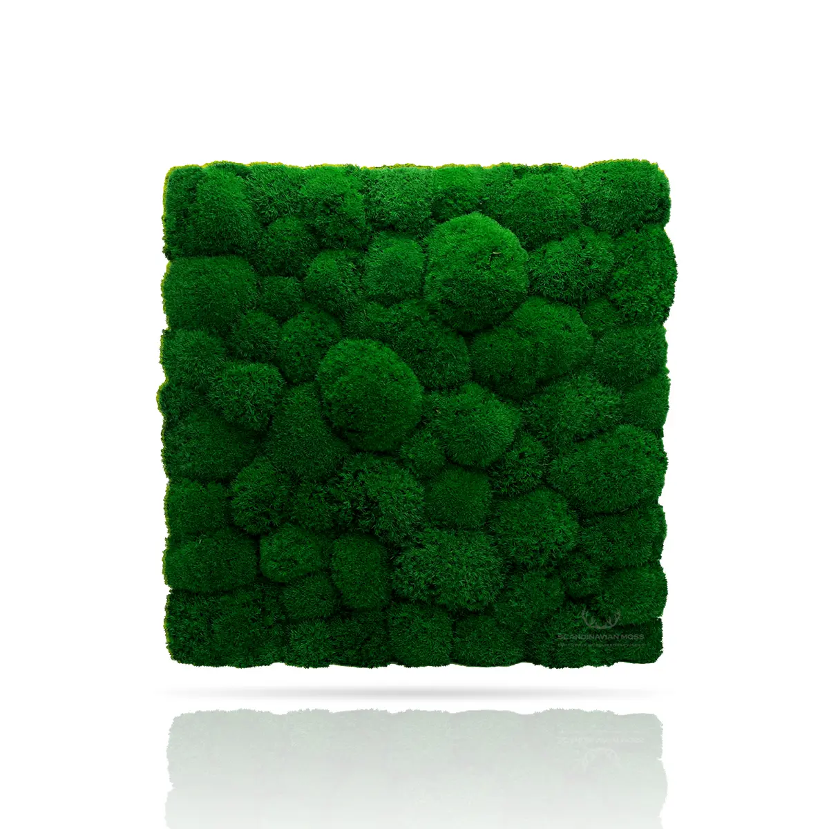 Decorative Pillow Preserved Moss Wall dark green swatch Decor DecorMania UK