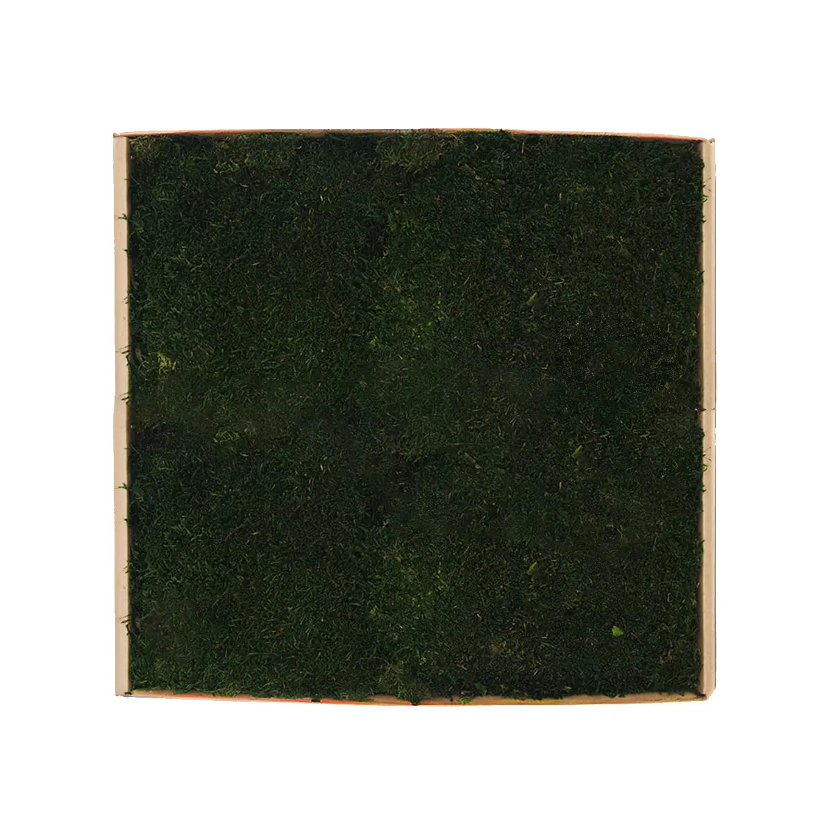 Flat Preserved Moss Wall Decor colour swatch on white background Decormania UK