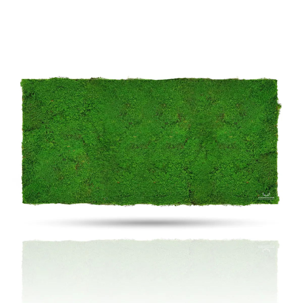 Frameless Flat Moss Wall Panels Rectangle on white background  DecorMania UK