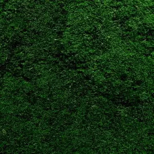 Frameless Flat Moss Wall Panels Rectangle texture closeup DecorMania UK