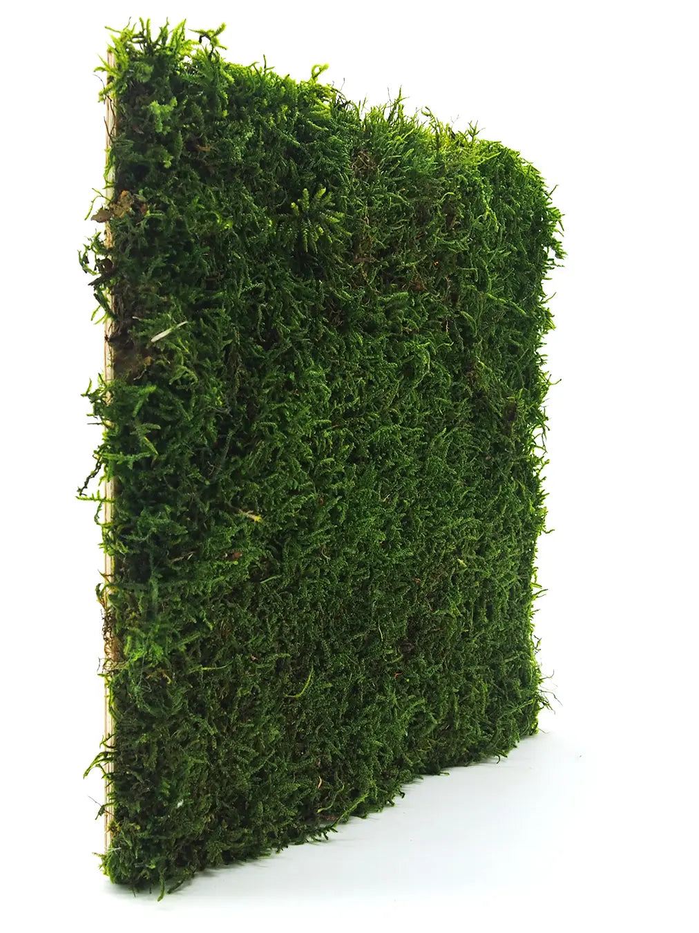 Frameless Flat Moss Wall Panels Rectangle single panel in perspective DecorMania UK 