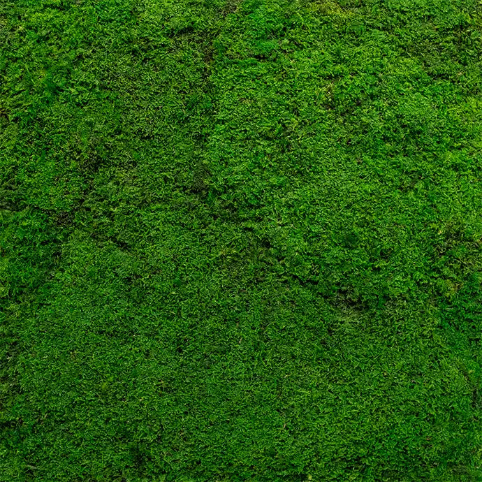 Frameless Flat Moss Wall Panels Square  texture closeup DecorMania UK