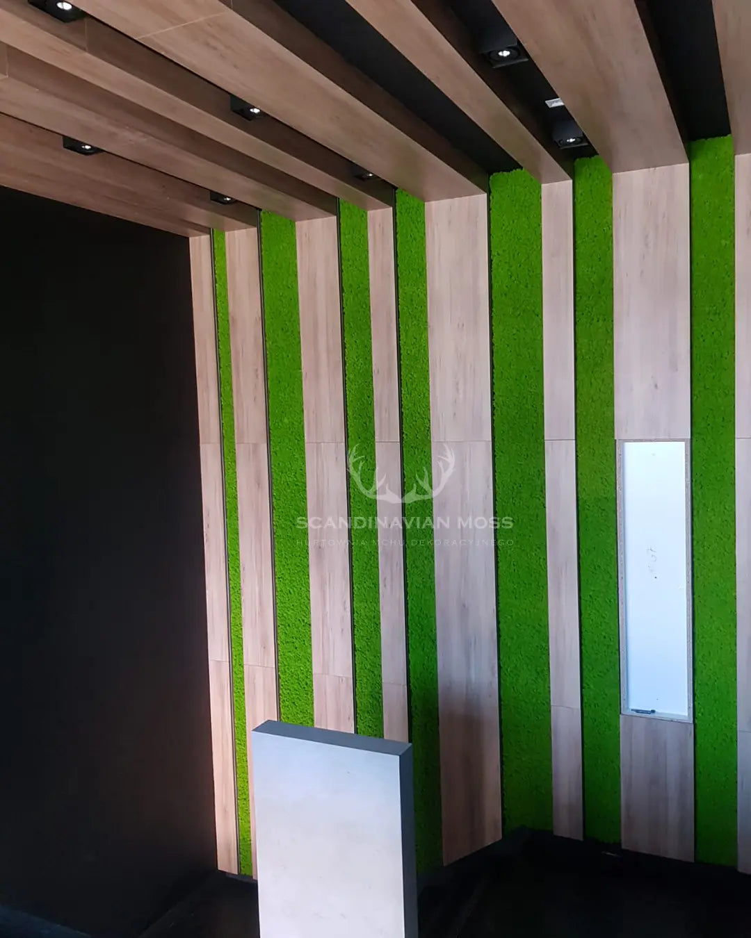 Frameless Flat Moss Wall Panels Square combined with wood DecorMania UK