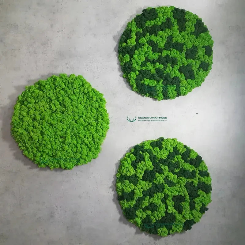 Frameless Moss Wall Panels Round 3 variants DecorMania UK