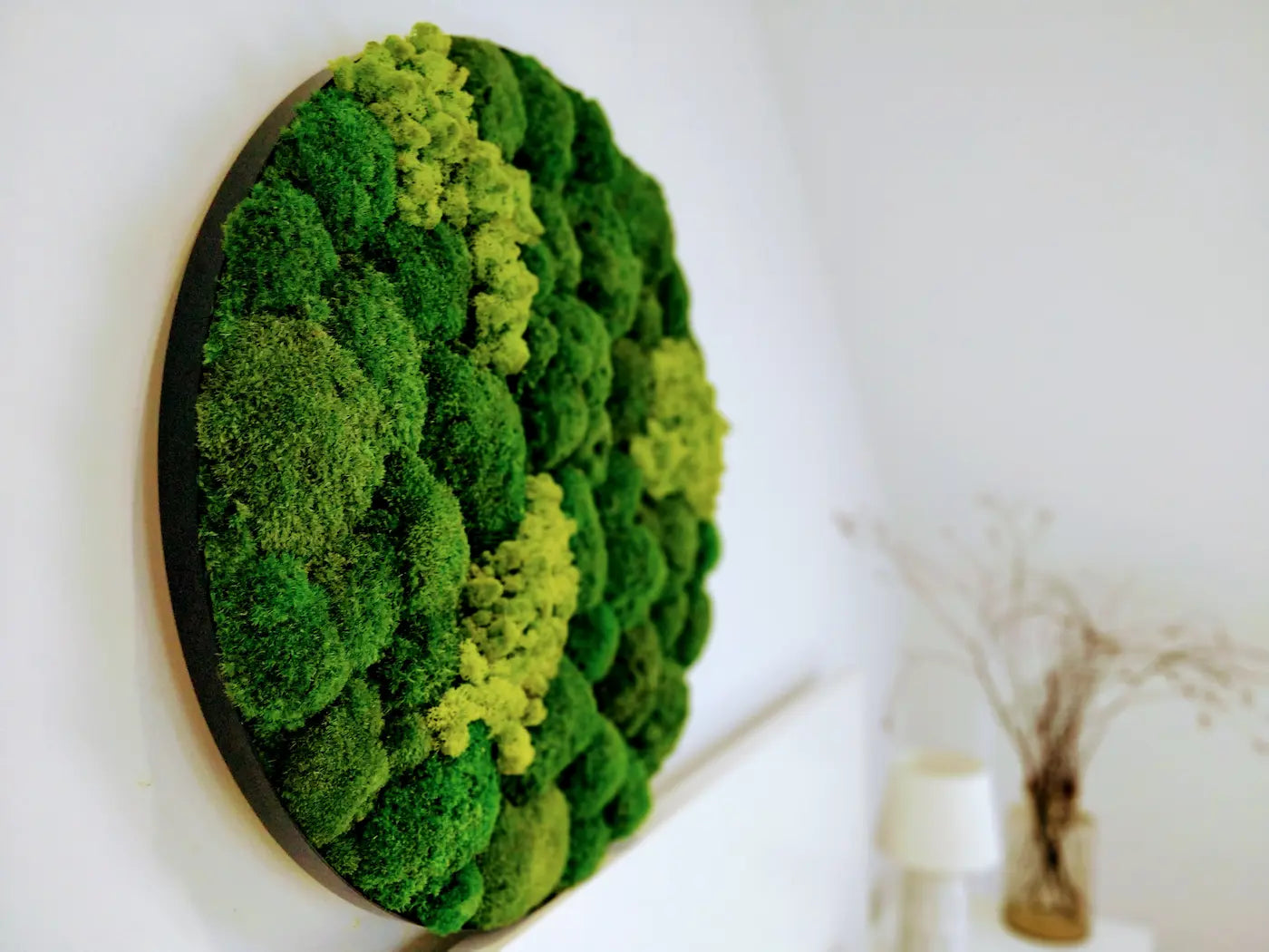 Frameless Moss Wall Panels Round in white interior DecorMania UK