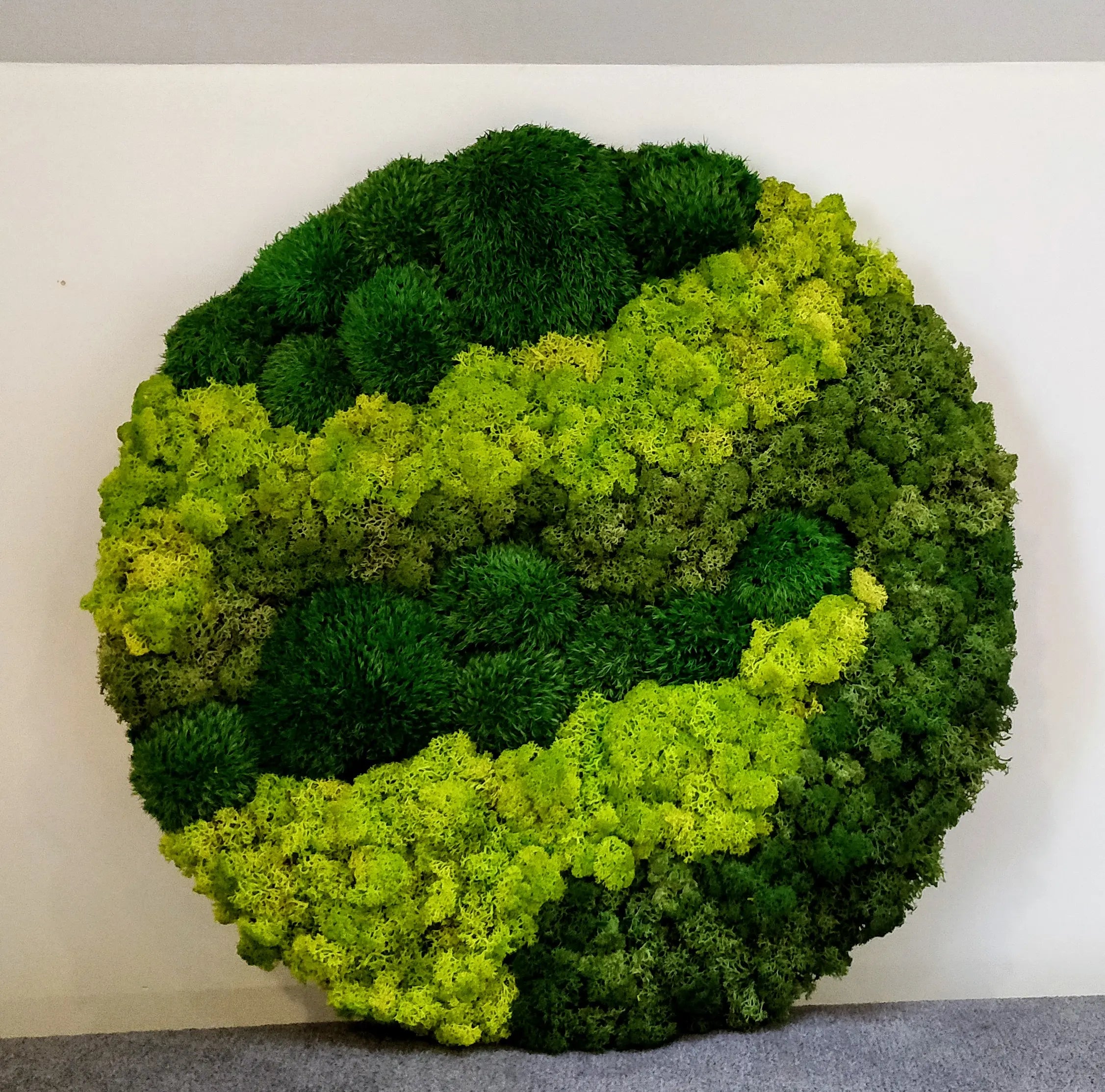 Frameless Moss Wall Panels Round multiple colours DecorMania UK
