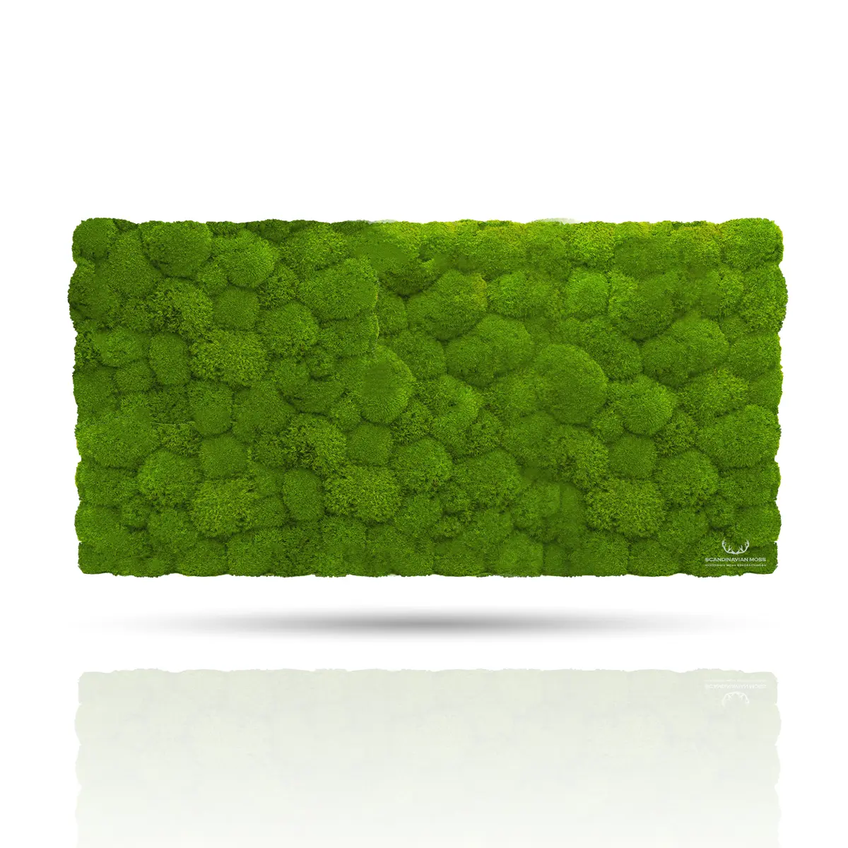 Frameless Pillow Moss Wall Panels Rectangle green DecorMania UK