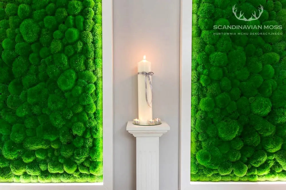 Frameless Pillow Moss Wall Panels Rectangle with white decor piece DecorMania UK