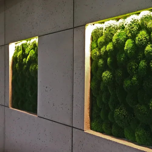 Frameless Pillow Moss Wall Panels Rectangle in modern interior DecorMania UK