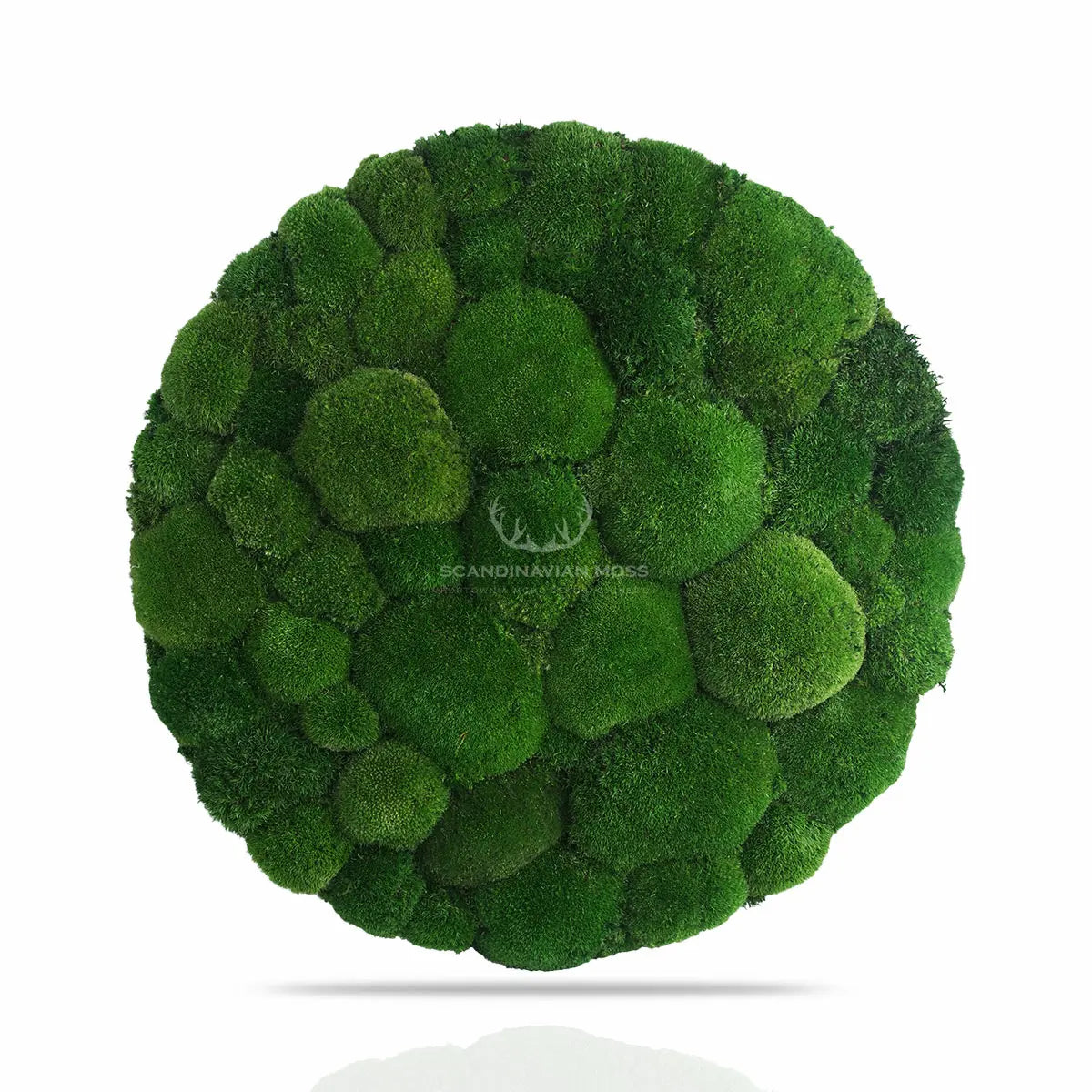 Frameless Pillow Moss Wall Panels Round on white background DecorMania UK