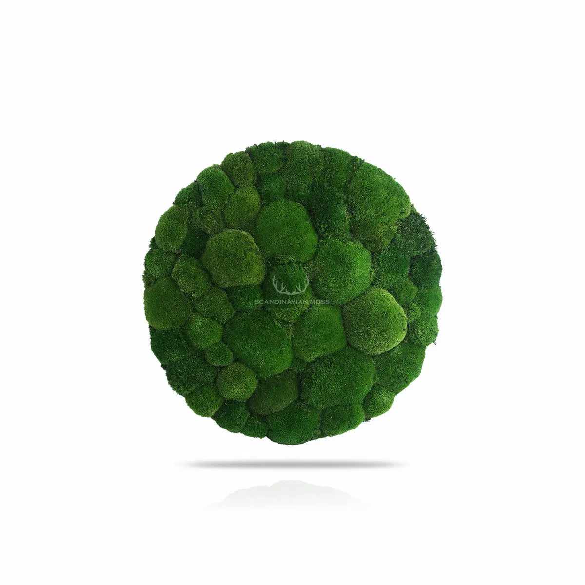 Frameless Pillow Moss Wall Panels Round on white background DecorMania UK