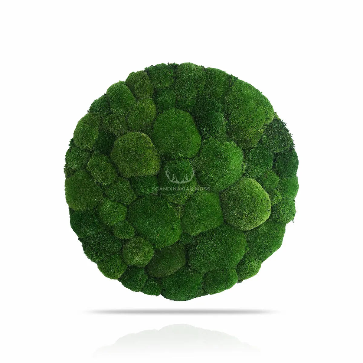 Frameless Pillow Moss Wall Panels Round on white background DecorMania UK