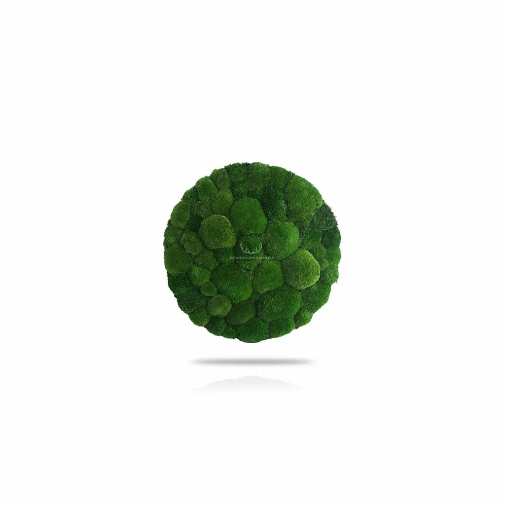 Frameless Pillow Moss Wall Panels Round on white background DecorMania UK