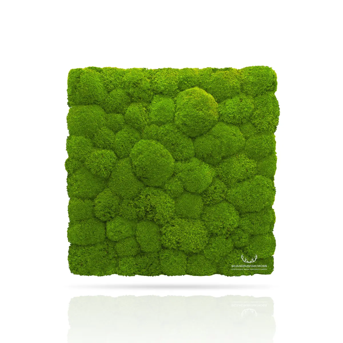 Frameless Pillow Moss Wall Panels Square light green swatch on white background DecorMania UK