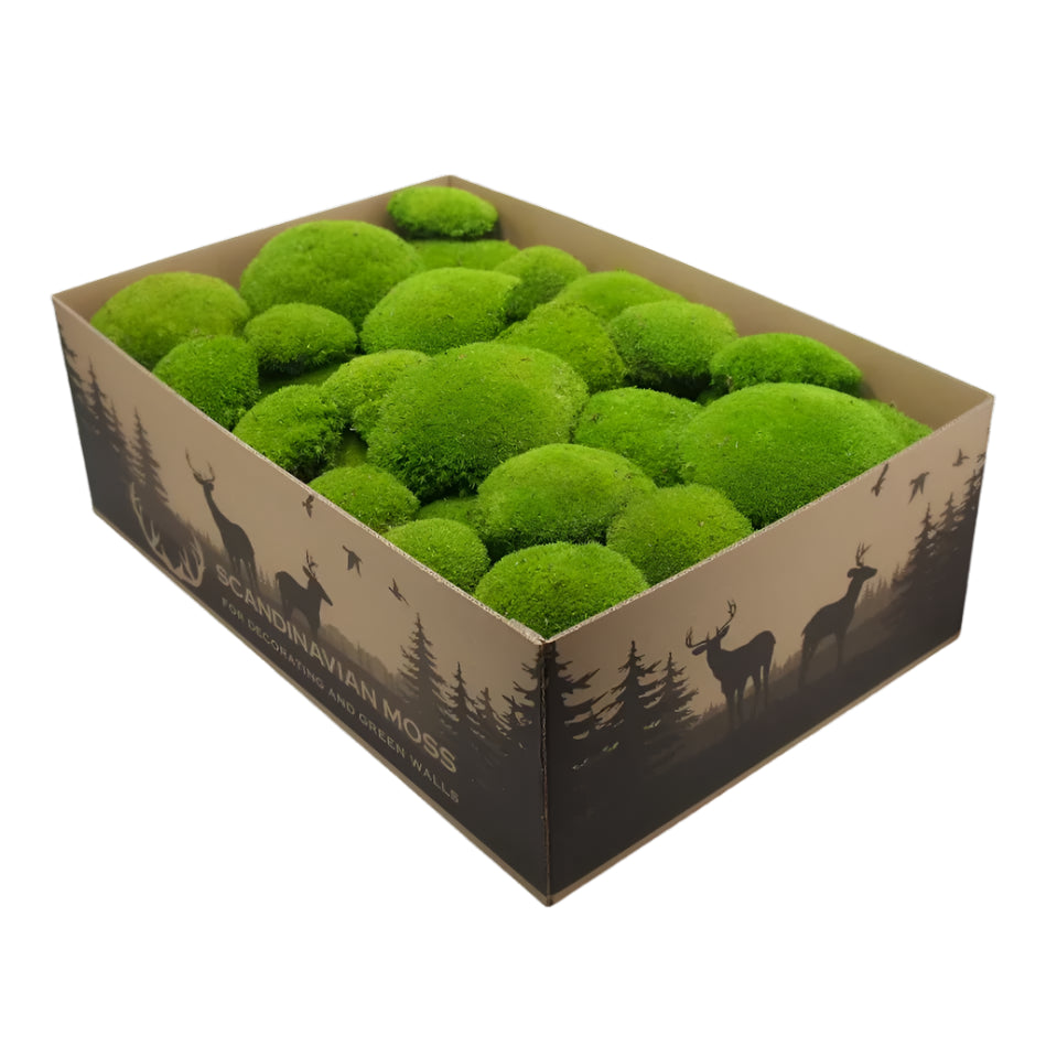 Frameless Pillow Moss Wall Panels Square on white background DecorMania UK