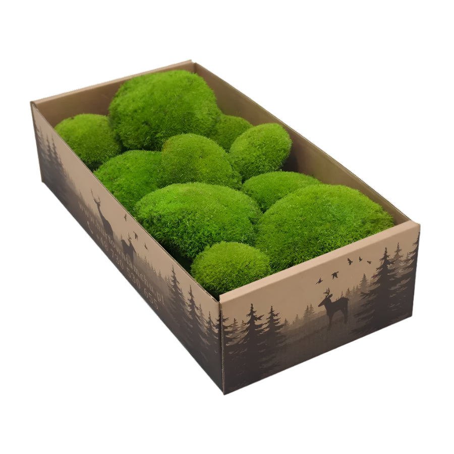 Frameless Pillow Moss Wall Panels Square in box on white background DecorMania UK