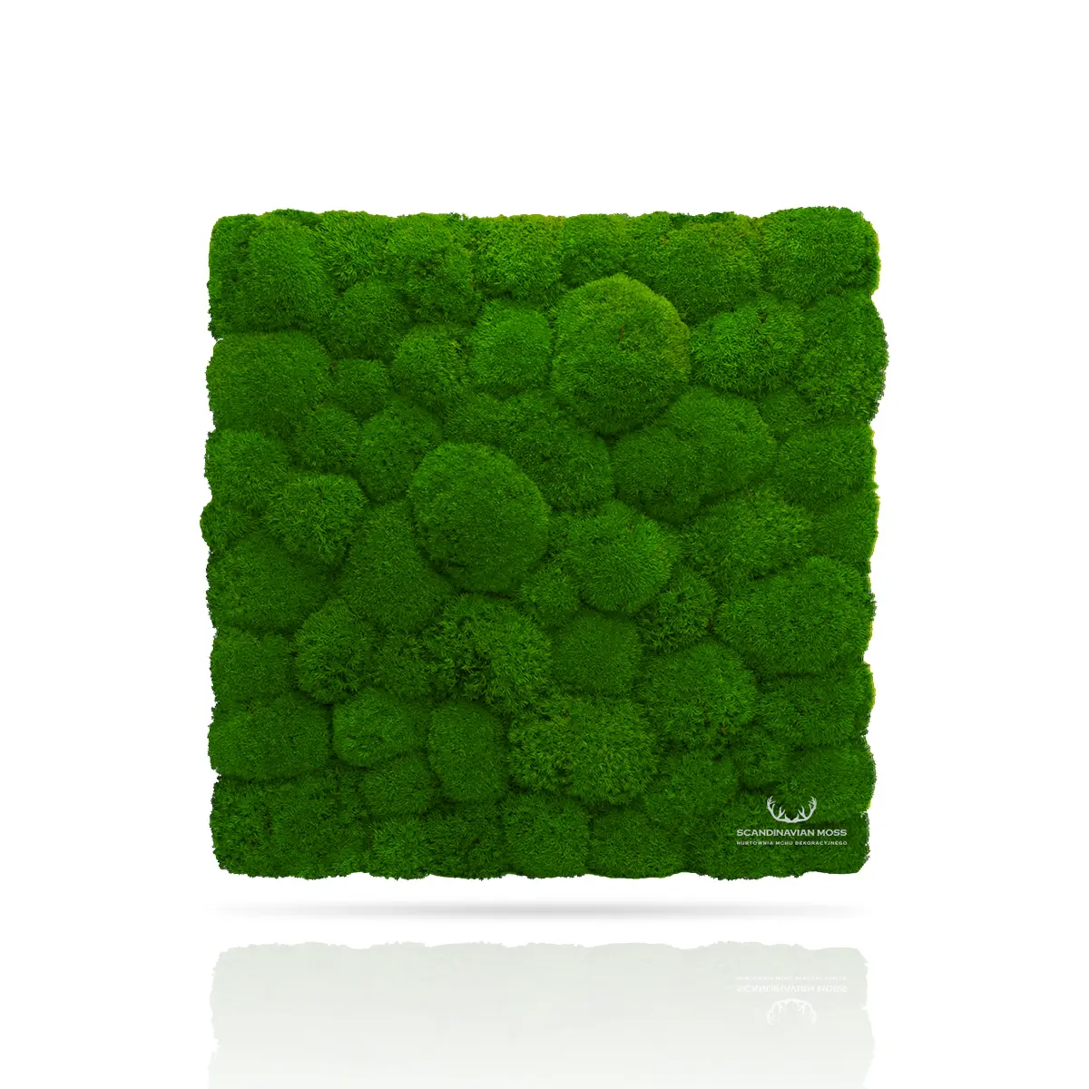 Frameless Pillow Moss Wall Panels green swatch Square DecorMania UK