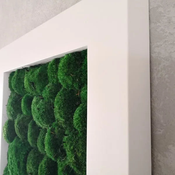 Frameless Pillow Moss Wall Panels Square in white frame DecorMania UK