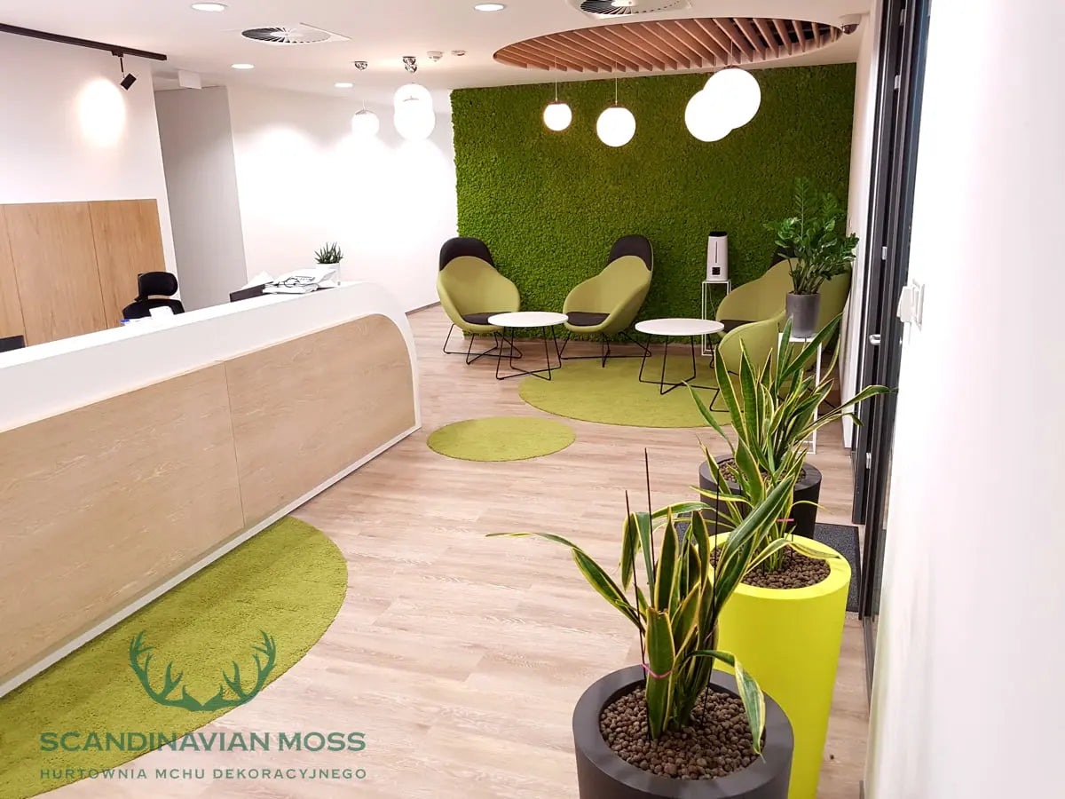 Frameless Reindeer Moss Wall Panels Rectangle in modern reception interior DecorMania UK